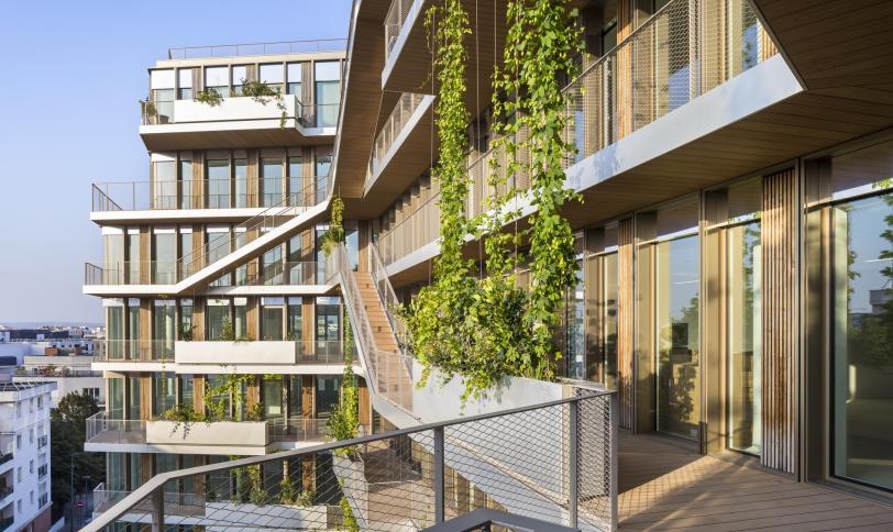 Brun exotique structurée