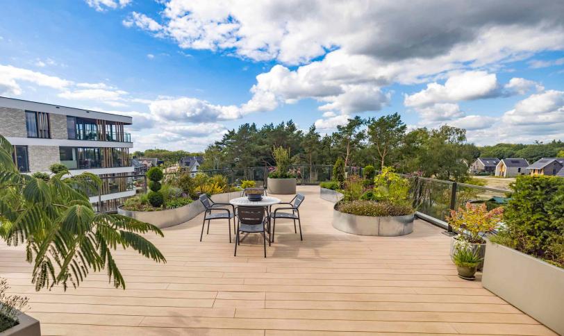 Embossed Colorado Brown